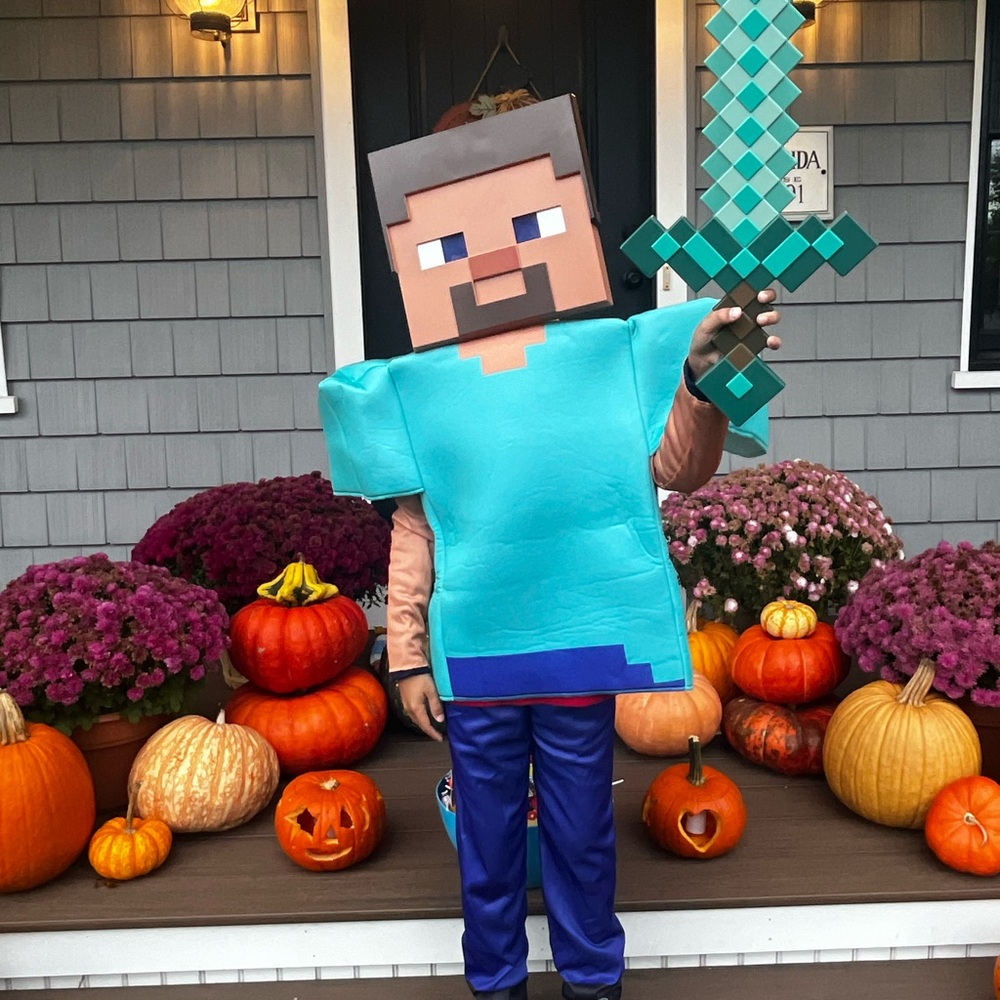 Steve from Minecraft Kids Costume (sword not included)